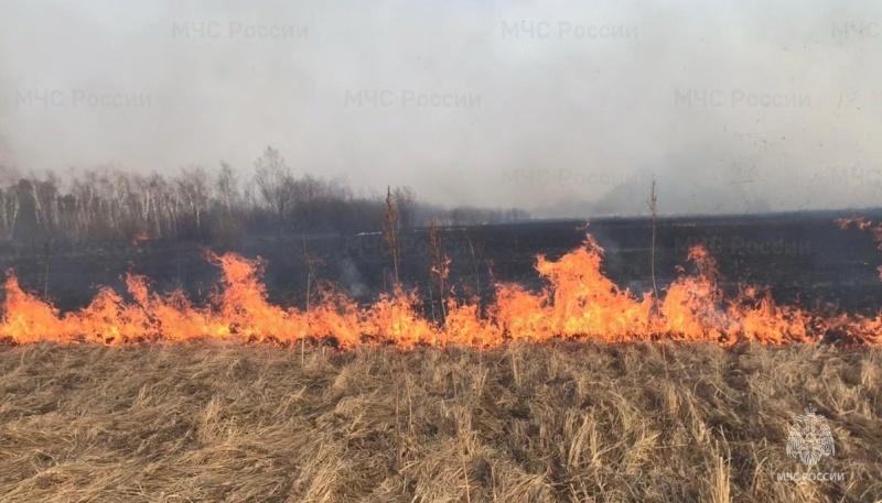 Фото В Новосибирской области особый противопожарный режим продлен до 22 мая 2